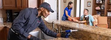 Best Pest Exclusion Services  in Todd Creek, CO